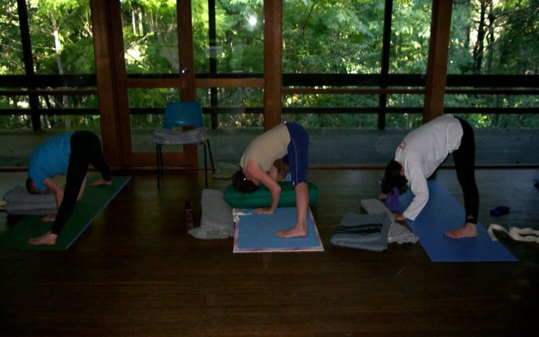 Yoga Camp