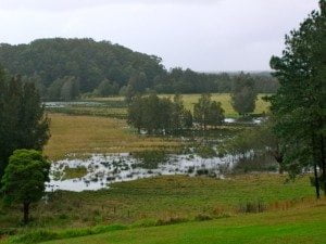2011 flood