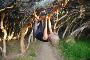 Photo of eve hanging upside down in a paperbark tree