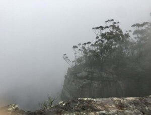 Image of a misty outcrop with vegetation