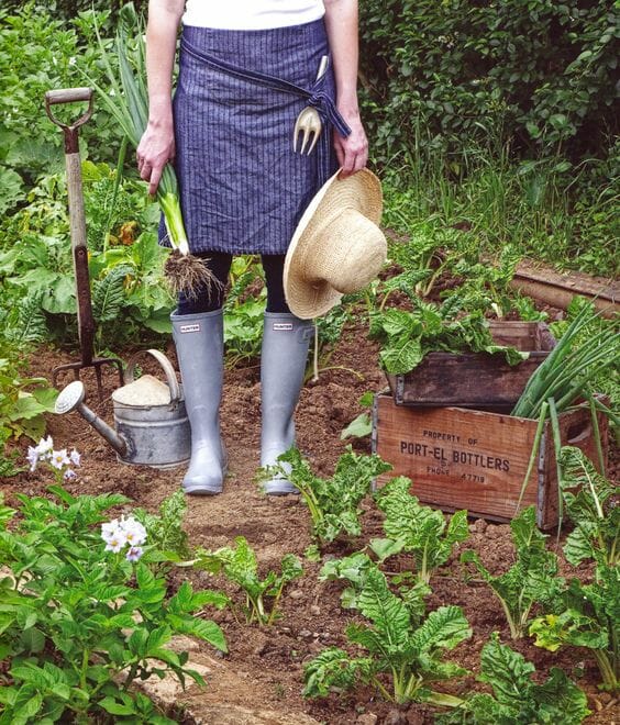 Recover from Gardening Labours with Yoga