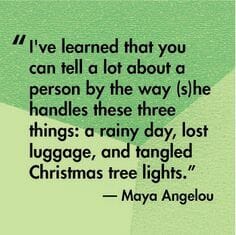 Quote that says, you can tell a lot about a  person by the way she handles  a rainy day, lost luggage and tangled Christmas tree lights.
