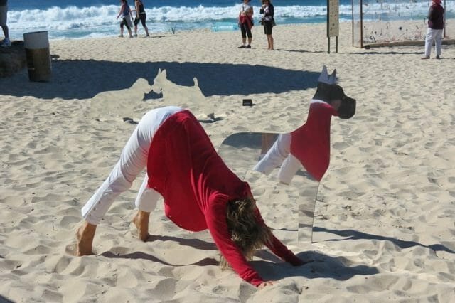 An Old Yoga Dog Learns New Tricks