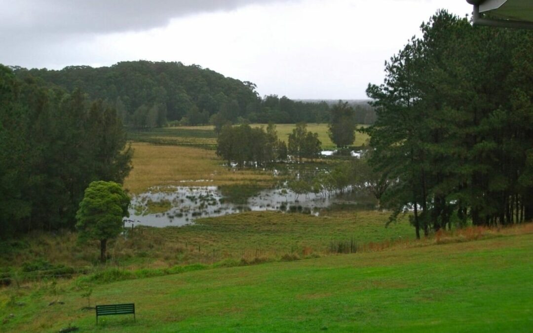 Rainy Weather Blues: Do Yoga