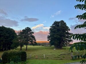 Landscape photo of green lawns with several trees and cloudy blue sky.